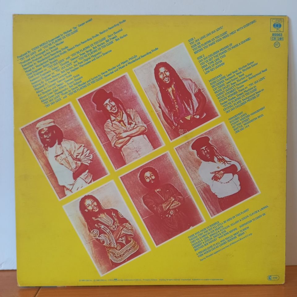 THIRD WORLD - YOU'VE GOT THE POWER (1982) - LP 2.EL PLAK