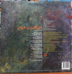 IAN MESSENGER - HANDS ACROSS THE NIGHT (1986) - PLAK 2.EL