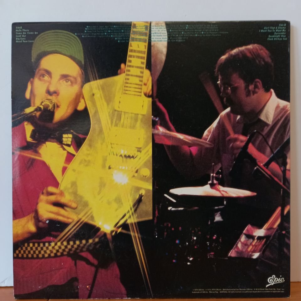 CHEAP TRICK – CHEAP TRICK AT BUDOKAN (1979) - LP 2.EL PLAK