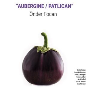 ÖNDER FOCAN - AUBERGINE / PATLICAN (2022) LP SIFIR PLAK