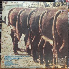 NITTY GRITTY DIRT BAND - PLAIN DIRT FASHION (1984) - PLAK 2.EL