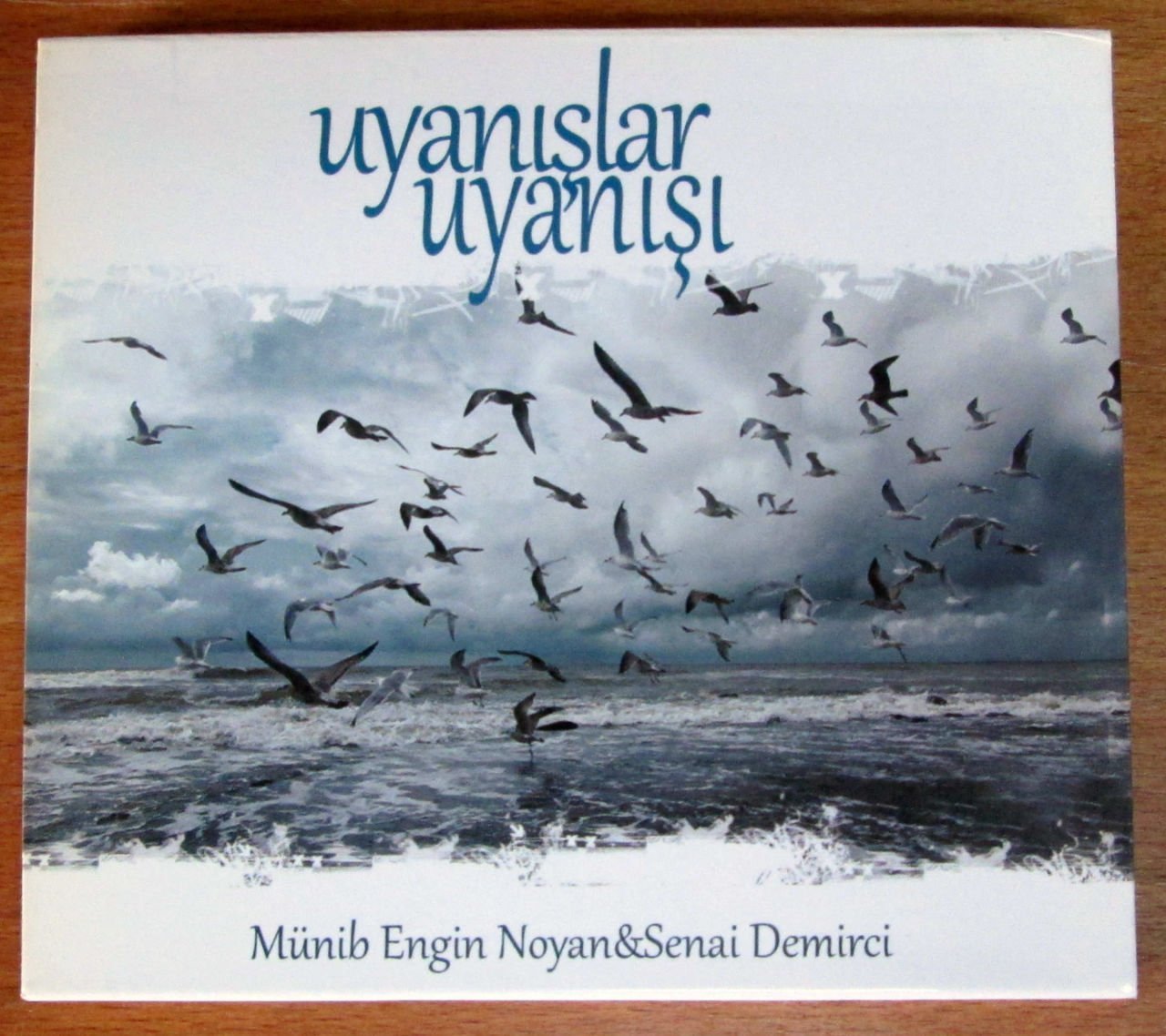UYANIŞLAR UYANIŞI - M. ENGİN NOYAN CD 2.EL