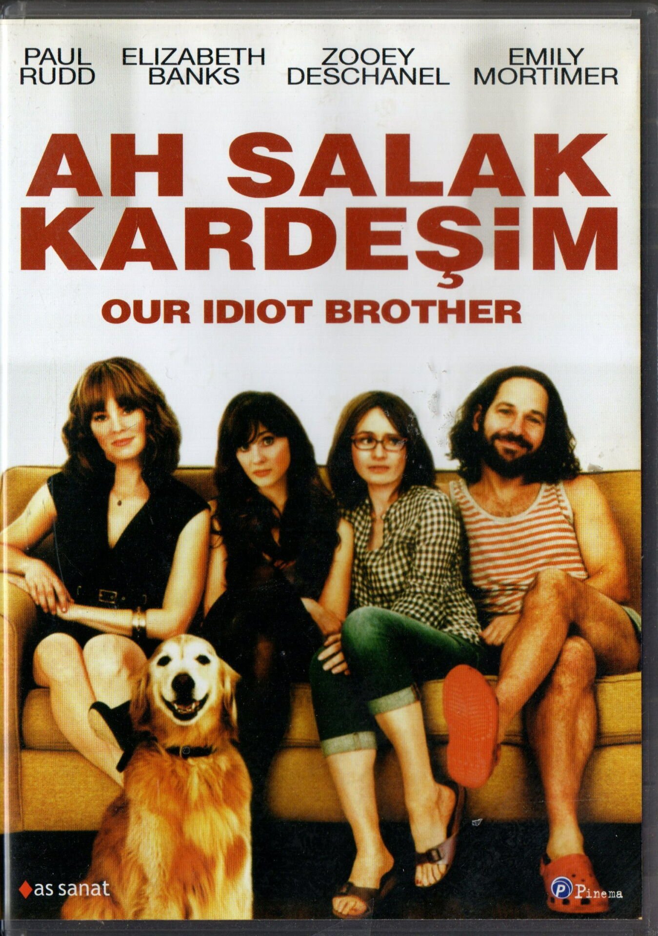 OUT IDIOT BROTHER - AH SALAK KARDEŞİM - PAUL RUDD - DVD 2.EL