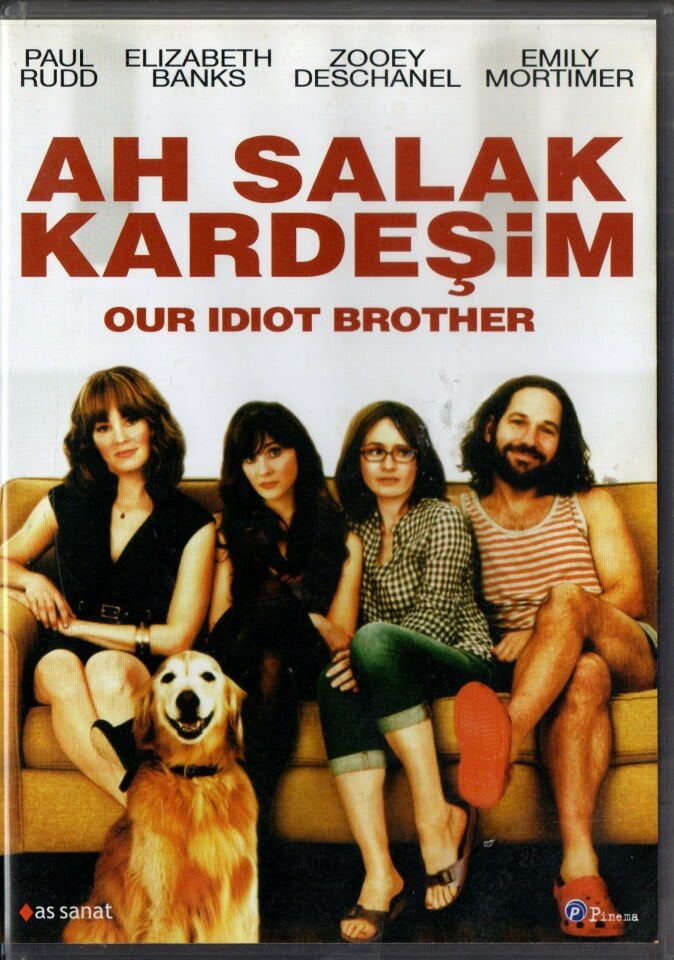 OUT IDIOT BROTHER - AH SALAK KARDEŞİM - PAUL RUDD - DVD 2.EL