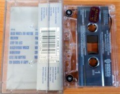 TERRORVISION - HOW TO MAKE FRIENDS AND INFLUENCE PEOPLE CASSETTE MADE IN HOLLAND ''USED''