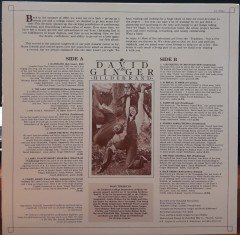 DAVID GINGER & HILDE BRAND - OUT ON A LIMB (1984) - PLAK 2.EL