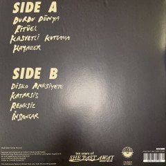 SHE PAST AWAY - PART TIME PUNKS SESSION [LIVE] (2020) - LP NUMBERED LIMITED EDITION SIFIR PLAK
