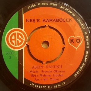 NEŞE KARABÖCEK - ÖMRÜMCE HEP ADIM ADIM / AŞKIN KANUNU -  7'' 45 DEVİR KAPAKSIZ 2.EL 45LİK PLAK