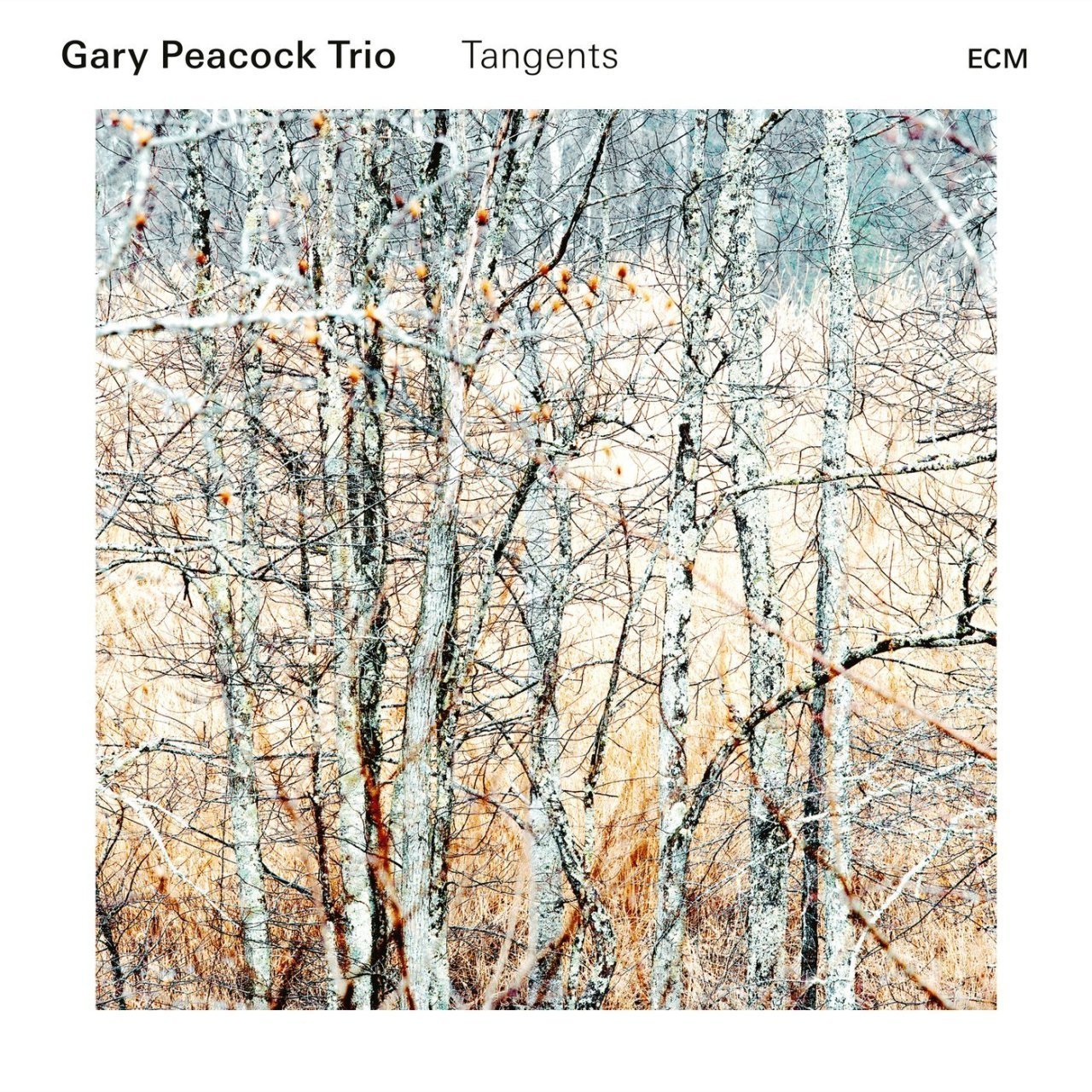 GARY PEACOCK TRIO - TANGENTS (2017) - CD ECM RECORDS SIFIR