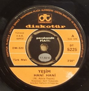 YEŞİM - HANİ HANİ / AŞKIN ÖMRÜ VARMI - 7'' 45 DEVİR KAPAKLI DİSKOTÜR 2.EL