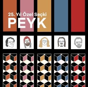 PEYK - 25.YIL ÖZEL SEÇKİ (2022) - LP SIFIR PLAK