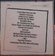 TOP POP COUNTRY - PLAK 2.EL