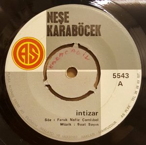 NEŞE KARABÖCEK - İNTİZAR / KARLI BİR KIŞ GÜNÜ - 7'' 45 DEVİR KAPAKSIZ 2.EL 45LİK PLAK