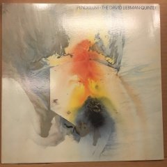 DAVID LIEBMAN QUINTET - PENDULUM 1979 2.EL PLAK