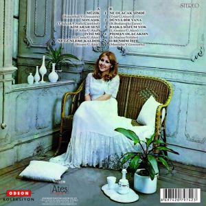 NİLÜFER - MÜZİK (1978) - 2022 BASKI LP SIFIR PLAK