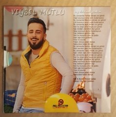 VEYSEL MUTLU - VAY DELİKANLI GÖNLÜM (2018) - CD SINGLE CARDSLEEVE 2.EL