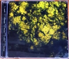 JASON BIVINS AND IAN DAVIS - BENTHIC (2003) - CD FAMILY VINEYARD 2.EL