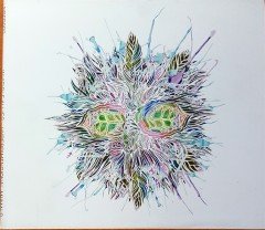 INVISIBLE ALLIES - HYPERDIMENSIONAL ANIMALS (2010) CD 2.EL