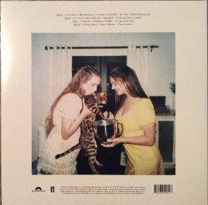 LANA DEL REY - BLUE BANISTERS (2021) - 2LP 180GR SIFIR PLAK