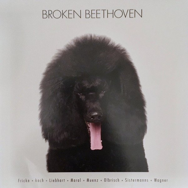 BROKEN BEETHOVEN curated by STEFAN FRICKE (2020) - LP PLAK SIFIR (ALPER MARAL, KOCH, WAGNER,MUENZ...)
