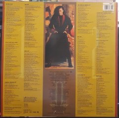 LOUIE LOUIE - THE STATE I'M IN (1990) - PLAK 2.EL