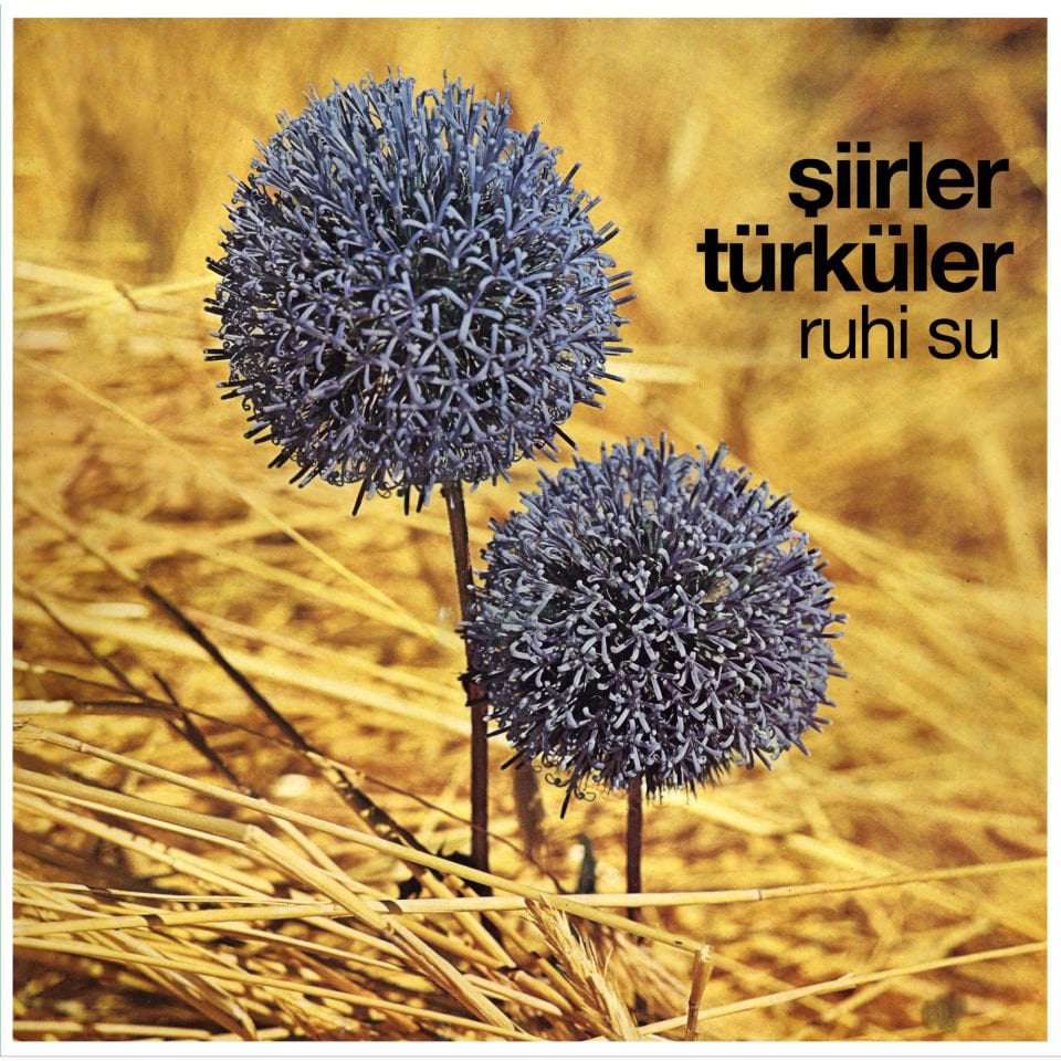 RUHİ SU - ŞİİRLER TÜRKÜLER (1974) - LP 2025 BASIM SIFIR PLAK