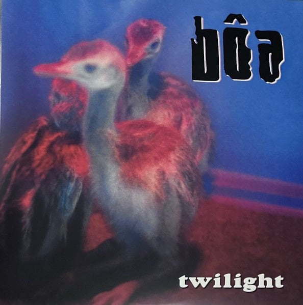 BOA (bôa) - TWILIGHT (2001) - 2LP INDIE ROCK 2024 EDITION SIFIR PLAK