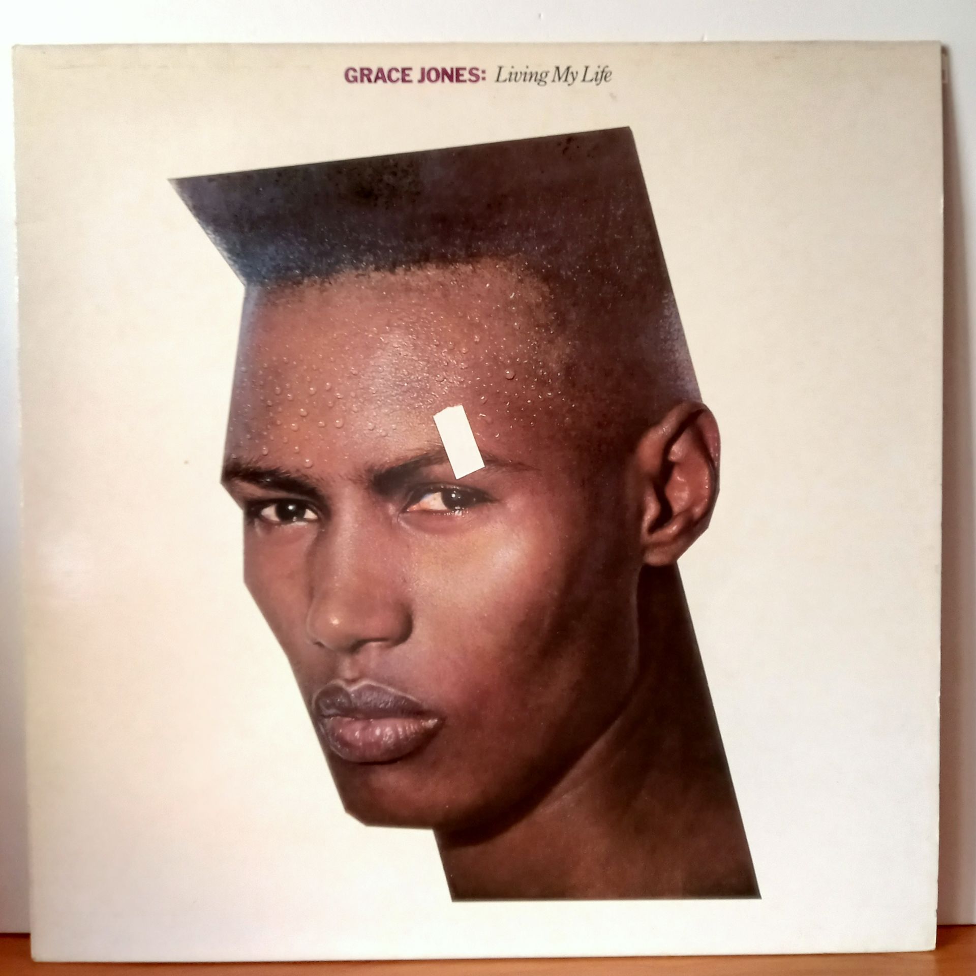 GRACE JONES – LIVING MY LIFE (1982) - LP 2.EL PLAK