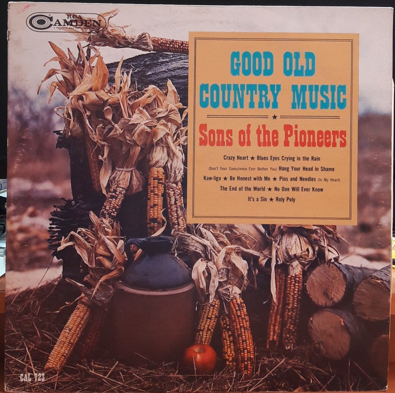 GOOD OLD COUNTRY MUSIC - PLAK 2.EL
