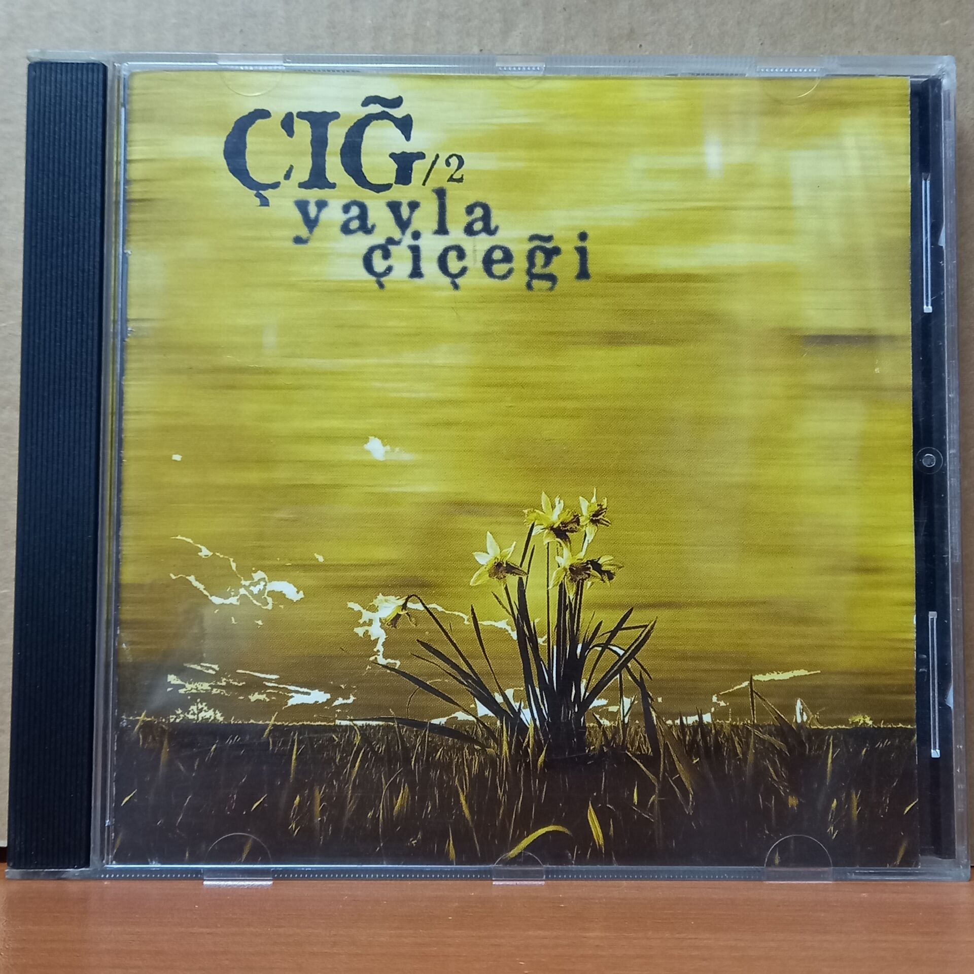 GRUP ÇIĞ - YAYLA ÇİÇEĞİ (2000) - CD 2.EL