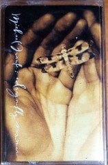 MICHAEL FRANKS - DRAGONFLY SUMMER (1993) MMY KASET SIFIR