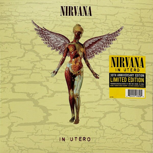 NIRVANA - IN UTERO (1993) - 2LP 2023 30TH ANNIVERSARY EDITION SIFIR PLAK