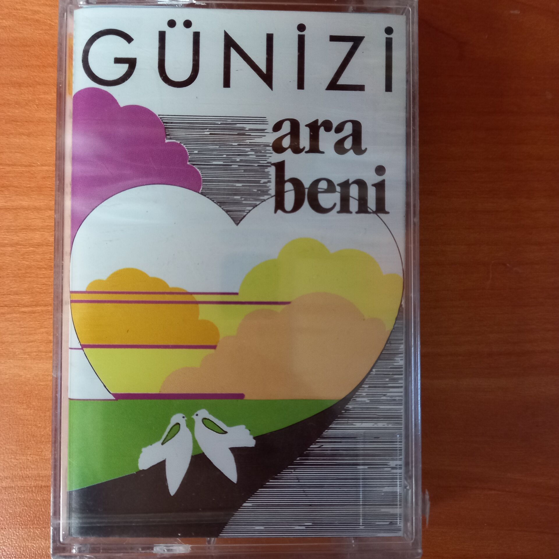 GÜNİZİ - ARA BENİ (1992) - KASET SIFIR