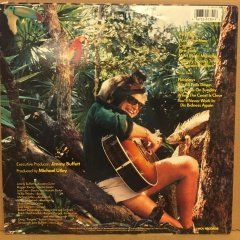 JIMMY BUFFETT - FLORIDAYS 1986 2.EL PLAK
