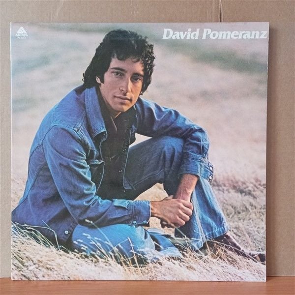 DAVID POMERANZ – IT'S IN EVERYONE OF US (1975) - LP 2.EL PLAK