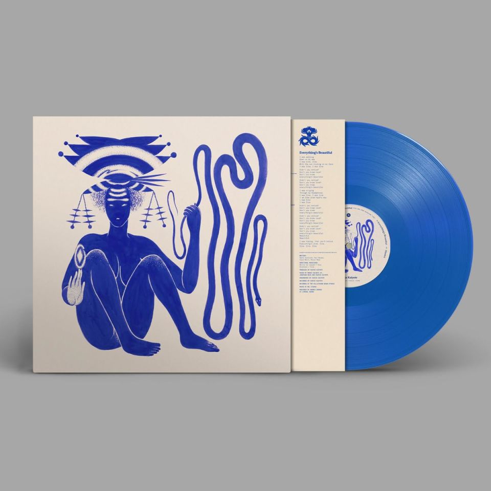 HIATUS KAIYOTE - LOVE HEART CHEAT CODE (2024) - LP NEO SOUL / CONTEMPORARY R'N'B COLOURED SIFIR PLAK