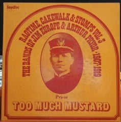 TOO MUCH MUSTARD RAGTIME, CAKEWALK & STOMPS VOL 3 - PLAK 2.EL