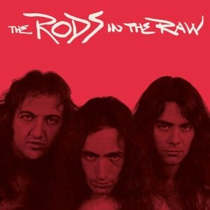 RODS – IN THE RAW (1983) - LP 2021 LIMITED EDITION SIFIR PLAK