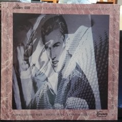 TEEN ROCK: 1956-1966 ''GREASY KIDS AND TEENAGE DREAMS'' (1987) - PLAK 2.EL