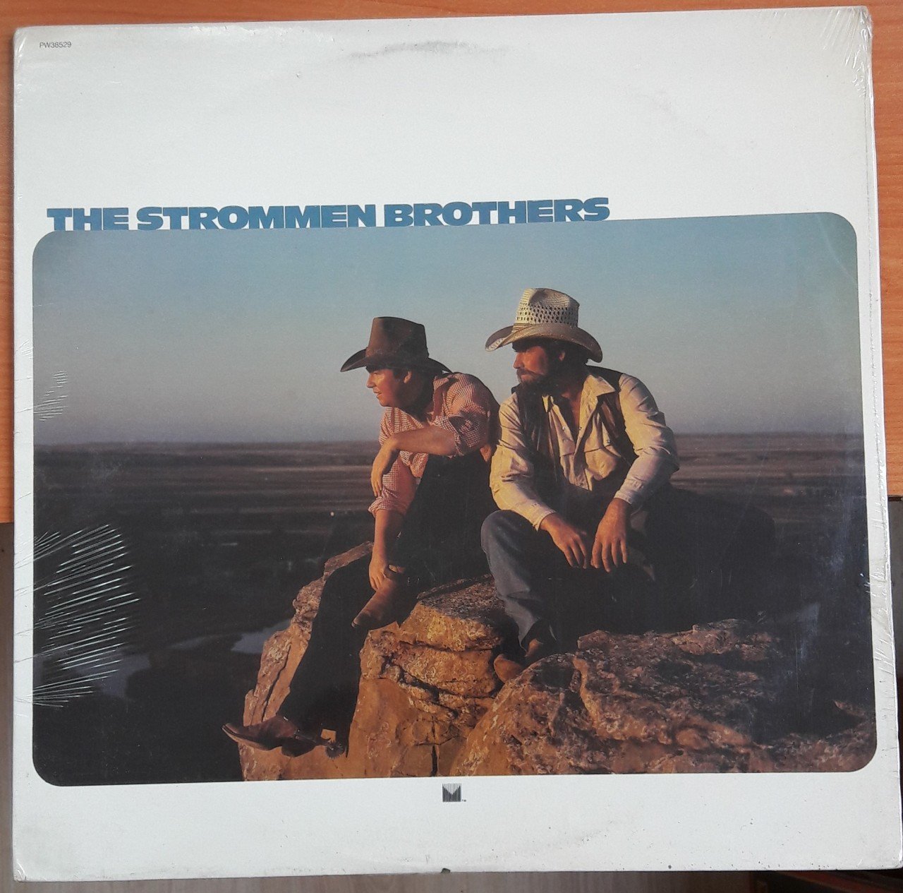THE STROMMEN BROTHERS (1983) - DÖNEM BASKISI PLAK SIFIR