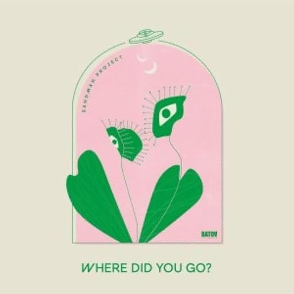 SANDMAN PROJECT - WHERE DID YOU GO (2024) - LP AFROBEAT SIFIR PLAK