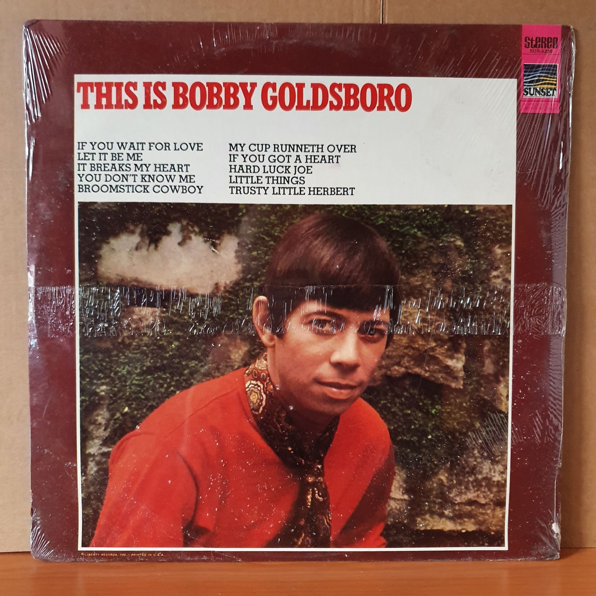 BOBBY GOLDSBORO - THIS IS BOBBY GOLDSBORO (1968) - LP DÖNEM BASKISI SIFIR PLAK