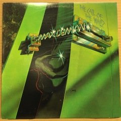 MAX DEMIAN - THE CALL OF THE WIZ (1980) 2.EL PLAK