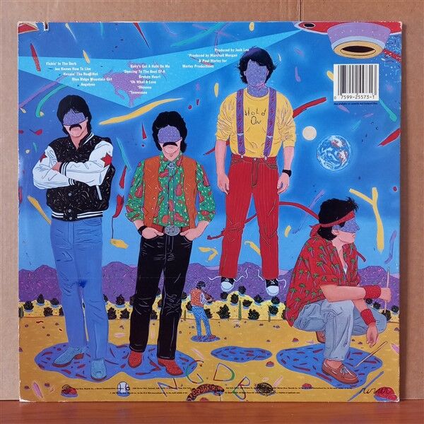 NITTY GRITTY DIRT BAND – HOLD ON (1987) - LP 2.EL PLAK