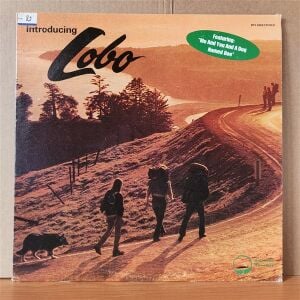 LOBO – INTRODUCING LOBO (1971) - LP 2.EL PLAK