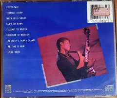 STANLEY JORDAN - FLYING HOME (1988) EMI MANHATTAN CD 2.EL
