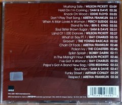 SOUL HITS / ARETHA FRANKLIN, RAY CHARLES, BEN E. KING, WILSON PICKETT (2001) - CD 2.EL