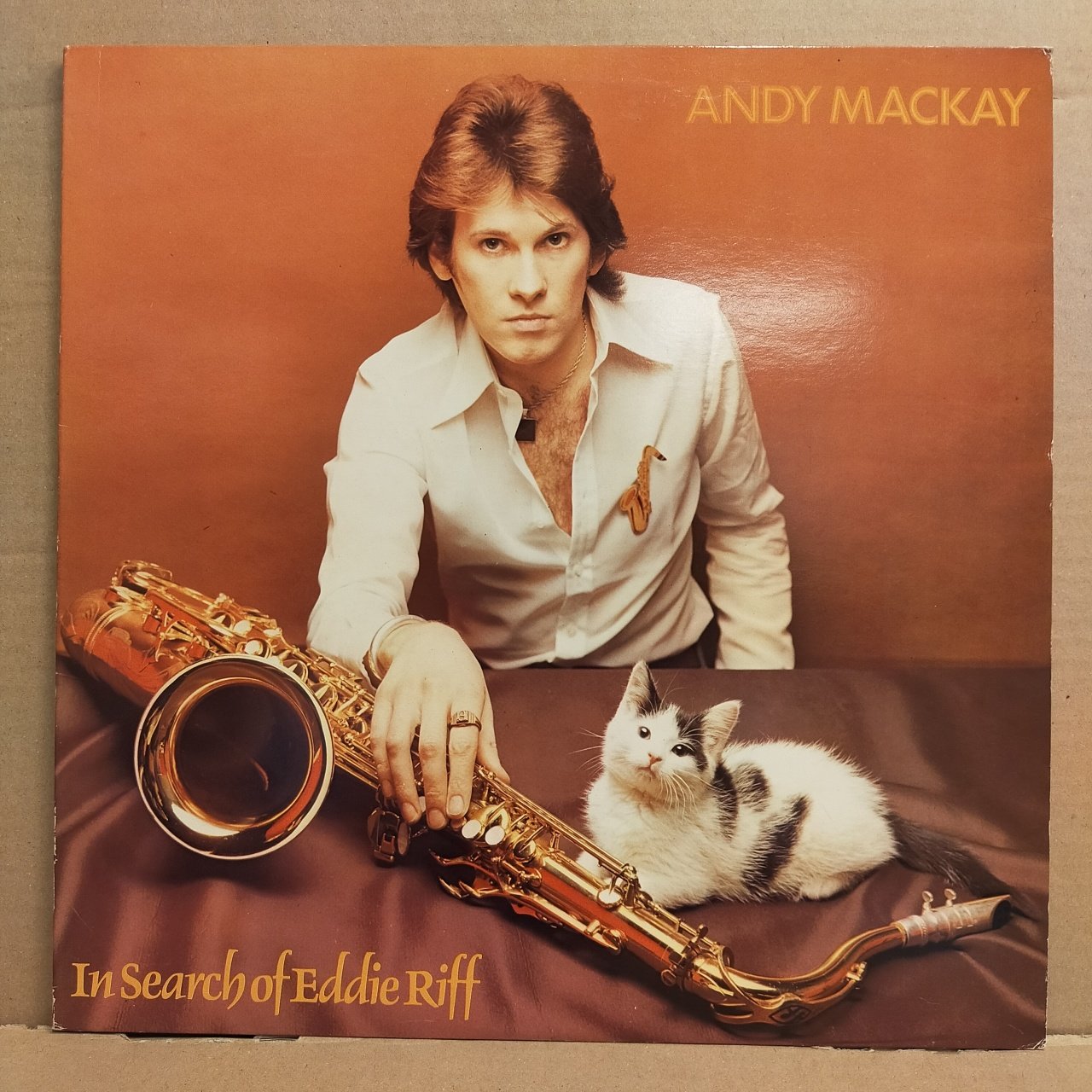 ANDY MACKAY - IN SEARCH OF EDDIE RIFF (1974) - LP 2.EL PLAK