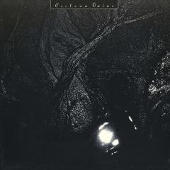 COCTEAU TWINS - THE PINK OPAQUE (1986) - PLAK SIFIR