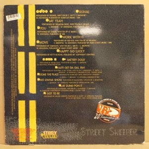 STREET SWEEPER RIDDIM - VARIOUS ARTISTS REGGAE COMPILATION (1999) - LP 2.EL PLAK